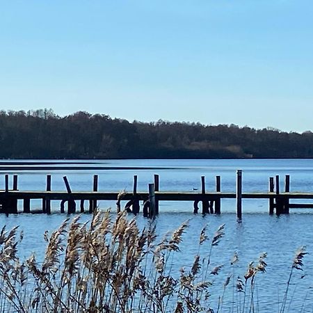 Tiwu - Ferienwohnungen Steinhude Bagian luar foto